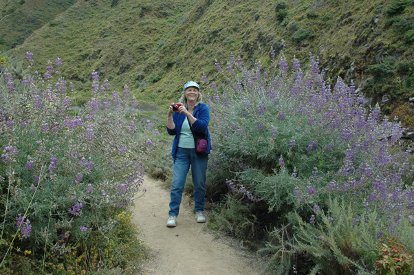 Soberanes Canyon 027.jpg